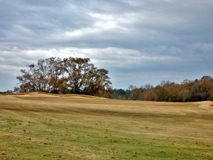 Mossy Oak 6th Green